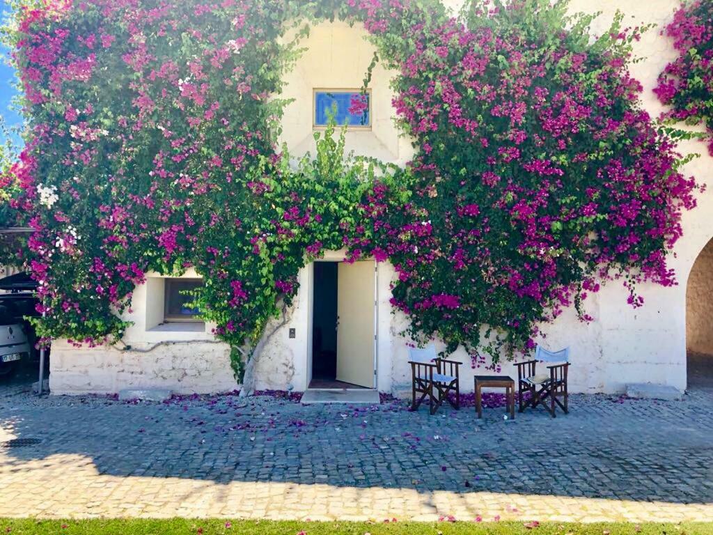 Bernardas Convent Tavira